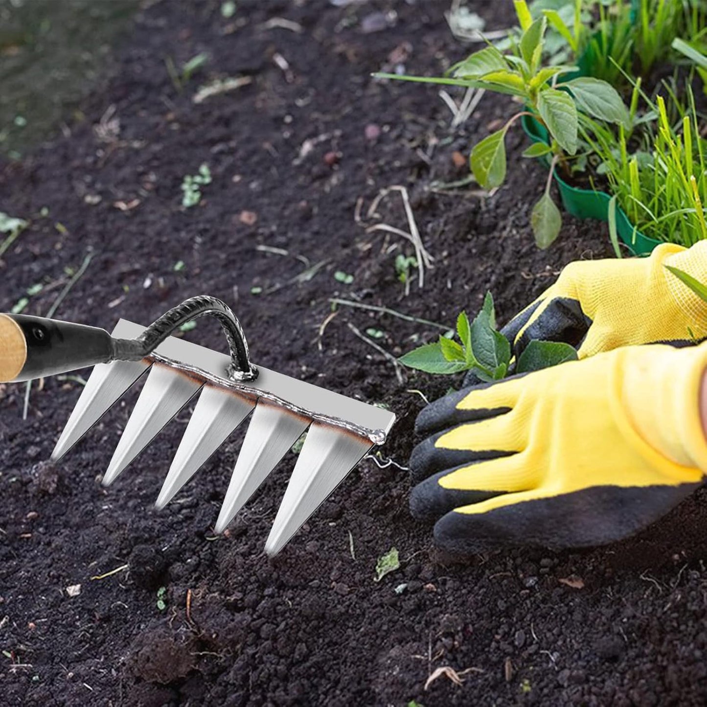 5 Teeth Carbon Steel Garden Weeding
