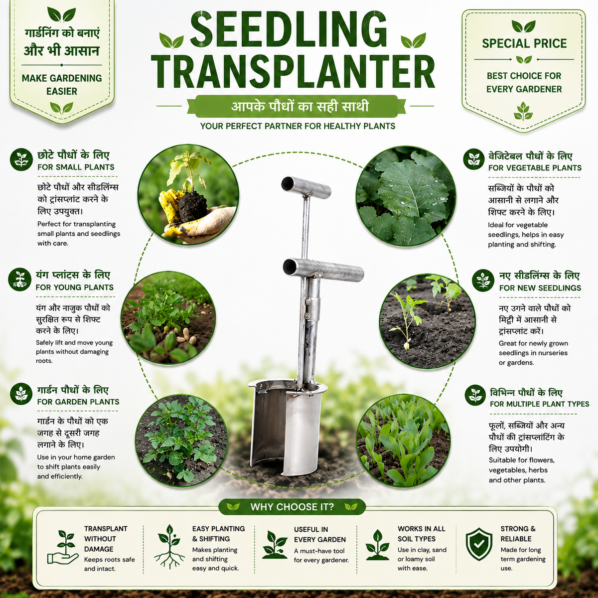 Seedling Transplanter Stainless Steel