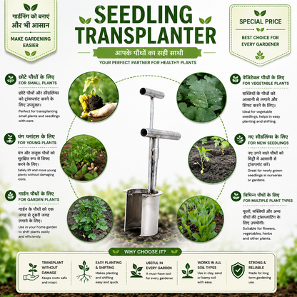 Seedling Transplanter Stainless Steel